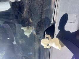 IMG_2338.jpeg