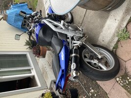 IMG_0008.jpeg