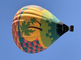 IMG_3779.jpeg