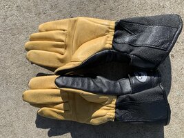 IMG_6985.jpeg