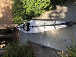 IMG_2203.jpeg