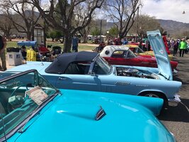 IMG_7921.jpg