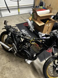 IMG_3741.jpeg