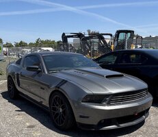 IMG_3777.jpeg
