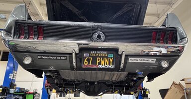 IMG_3769.jpeg