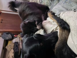 IMG_0362.jpeg