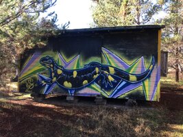 IMG_3510.jpeg