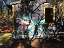 IMG_3513.jpeg