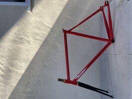 IMG_3287.jpeg