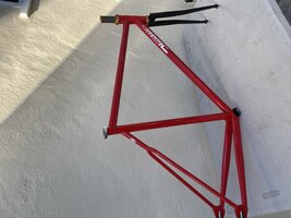 IMG_3291.jpeg