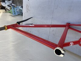 IMG_3295.jpeg