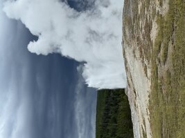 IMG_9317.jpeg