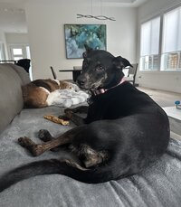 IMG_8224.jpeg