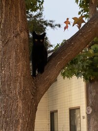 IMG_1100.jpeg