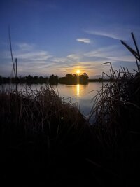 IMG_0025.jpeg