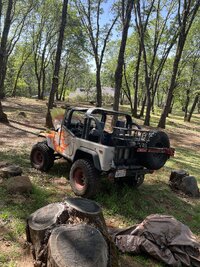 IMG_1218.jpeg