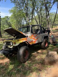 IMG_1217.jpeg