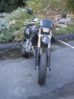 drz1.jpg