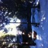cabin cruiser